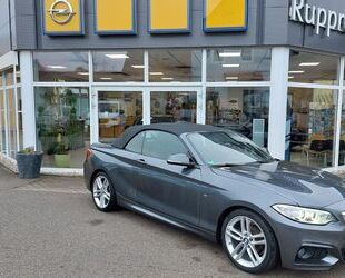 BMW BMW 218 Baureihe 2 Cabrio 218 i M Sport Gebrauchtwagen