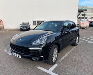 Porsche Porsche Cayenne Diesel Platinum Edition Platinum E Gebrauchtwagen