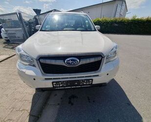 Subaru Subaru Forester Exclusive Gebrauchtwagen