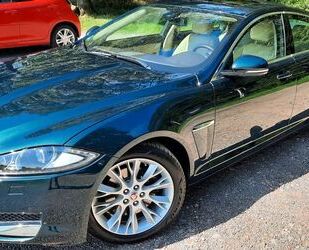 Jaguar Jaguar XF 3.0 L V6 Diesel - Gebrauchtwagen