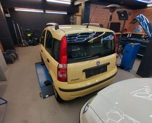 Fiat Fiat Panda Gebrauchtwagen