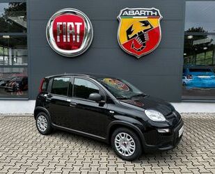 Fiat Fiat Panda Hybrid MY24 +KLIMA+BLUETOOTH+EINPARKHIL Gebrauchtwagen