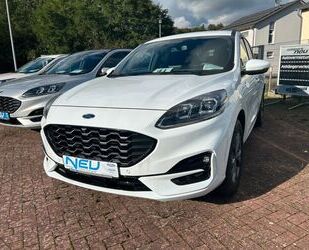 Ford Ford Kuga PHEV ST-Line X Head Up + B&O Gebrauchtwagen