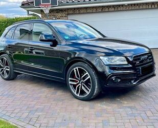 Audi Audi SQ5 3.0 TDI plus tiptronic quattro - Gebrauchtwagen