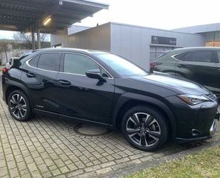 Lexus Lexus UX 250h Style Edition, Safety System, SHZ, T Gebrauchtwagen