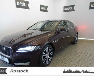 Jaguar Jaguar XF Portfolio+LED+Pano+Leder Gebrauchtwagen