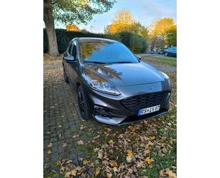 Ford Ford Kuga 2.0 EcoBlue Hybrid ST-Line X ST-Line X Gebrauchtwagen