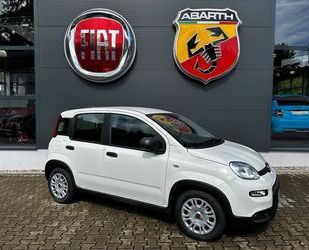 Fiat Fiat Panda Hybrid MY24 +PARKSENSOREN HINTEN+KLIMA+ Gebrauchtwagen