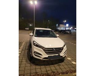 Hyundai Hyundai Tuscon 1.6 T-GDI Intro - 1900 KG AHK !!! S Gebrauchtwagen