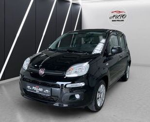 Fiat Fiat New Panda 1.2 Klima 1 Hand Gebrauchtwagen