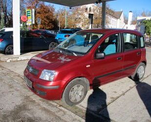 Fiat Fiat Panda 1.2 8V Dynamic KLIMA/AHK Gebrauchtwagen