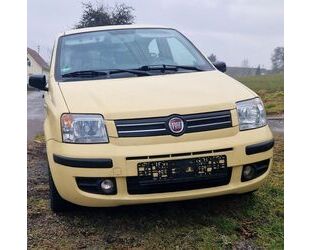 Fiat Panda Gebrauchtwagen