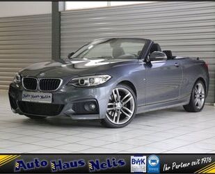 BMW BMW 220 i Cabrio M-Sport Bi-Xenon Klimaautomatik P Gebrauchtwagen