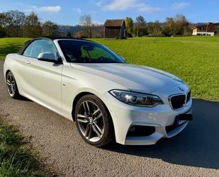 BMW BMW 230i Steptronic Cabrio M Sport M Sport Gebrauchtwagen