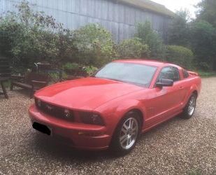 Ford Ford Mustang Gt V8 Gebrauchtwagen