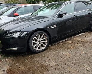 Jaguar Jaguar XF Portfolio Sportbrake*360Grad*PanoDach*8- Gebrauchtwagen