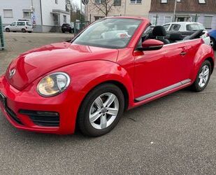 VW Volkswagen Beetle Cabriolet Basis BMT/Start-Stopp Gebrauchtwagen