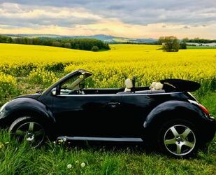 VW Volkswagen New Beetle 1.8T Cabriolet Leder Highlin Gebrauchtwagen