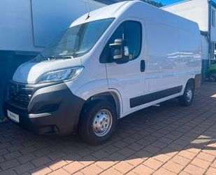 Opel Opel Movano C Cargo L2H2 3,5t Edition Klima+Kamera Gebrauchtwagen