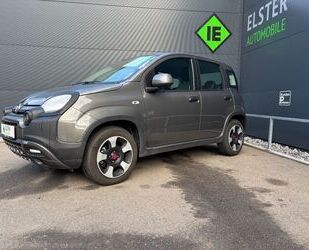 Fiat Fiat Panda City Plus Tech-Paket Plus Gebrauchtwagen