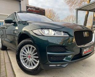 Jaguar F-Pace Gebrauchtwagen