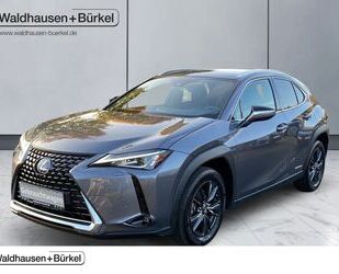 Lexus Lexus UX 250h Amazing Edition Klima Rückfahrkamera Gebrauchtwagen