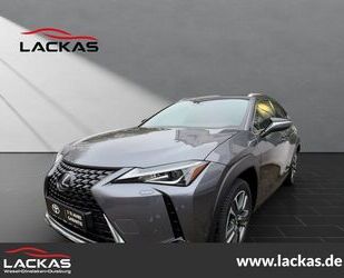 Lexus Lexus UX 300e 13 J. Garantie*Carplay*Leder*400km R Gebrauchtwagen