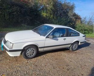 Opel Opel Monza Gebrauchtwagen