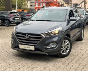 Hyundai Hyundai Tucson 1.6 T-GDI Intro Edition 2WD Gebrauchtwagen