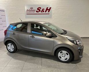 Kia Kia Picanto 1,0 ED7 AC Sitz/Lenkheiz Bluet. Allwet Gebrauchtwagen