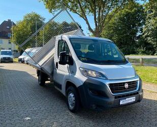 Fiat Fiat Ducato 2.0 HDI *3-Seiten-Kipper*Garantie* Gebrauchtwagen