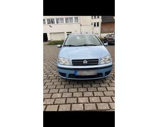 Fiat Fiat Punto 1.2 8V - Gebrauchtwagen