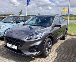 Ford Ford Kuga Plug-In Hybrid ST-Line, LED, RFK, GRA, G Gebrauchtwagen