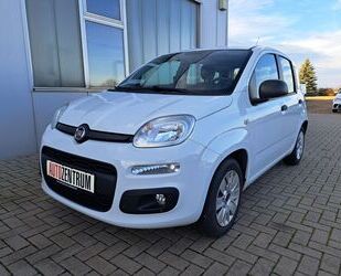 Fiat Fiat Panda 1.2 Easy 1.HAND Radio-MP3 Bluetooth ESP Gebrauchtwagen