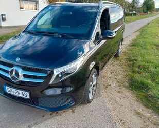 Mercedes-Benz Mercedes-Benz V 250 d Aut. EDITION lang EDITION Gebrauchtwagen