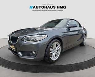 BMW BMW 228i Cabrio Advantage KLIMA*LEDER*XENON*SHZ*NA Gebrauchtwagen