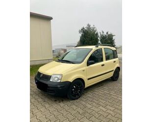 Fiat Fiat Panda Gebrauchtwagen