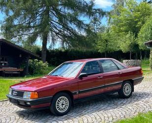 Audi Audi 100 Turbo CS 5Zylinder 10V Turbo 165PS,5Gang! Gebrauchtwagen