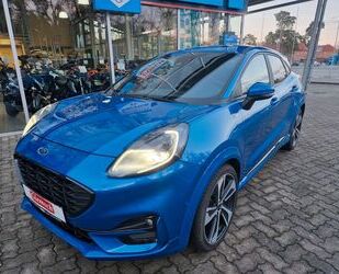 Ford Ford Puma MHEV ST-Line X B&O DAB Kamera EHK ACC Gebrauchtwagen