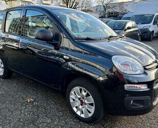 Fiat Fiat Panda Easy Gebrauchtwagen