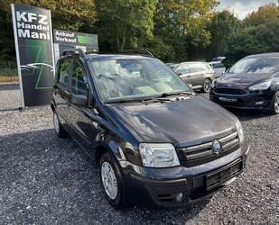 Fiat Fiat Panda 1.2 8V Dynamic Gebrauchtwagen