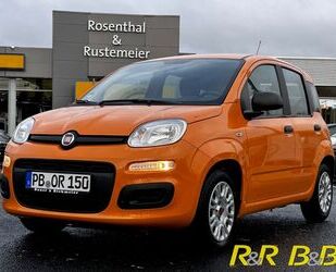 Fiat Fiat Panda Base 1.0 Mild Hybrid EU6d KLIMA+DAB+ Gebrauchtwagen