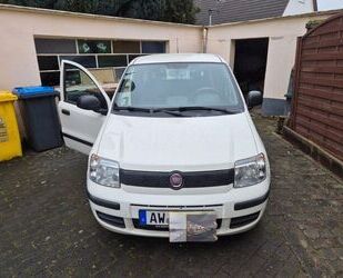 Fiat Fiat Panda Gebrauchtwagen