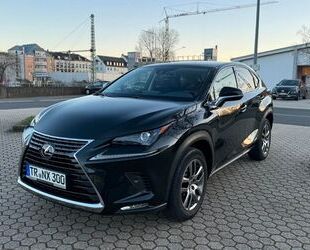 Lexus Lexus NX 300 300h Executive Line Executive Line Gebrauchtwagen