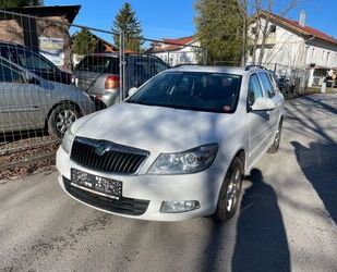 Skoda Skoda Octavia Combi Ambition Gebrauchtwagen