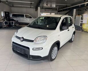 Fiat Fiat Panda 1.0 GSE Hybrid (312) Gebrauchtwagen