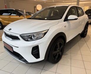 Kia Stonic Gebrauchtwagen