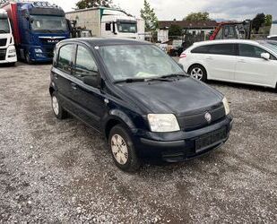 Fiat Fiat Panda Gebrauchtwagen