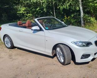 BMW BMW 220d Cabrio M Sport, Leder, Navi, Bi-Xenon, Gebrauchtwagen