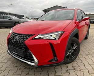 Lexus Lexus UX250H Luxury Line * 2 x Farbe leder Gebrauchtwagen